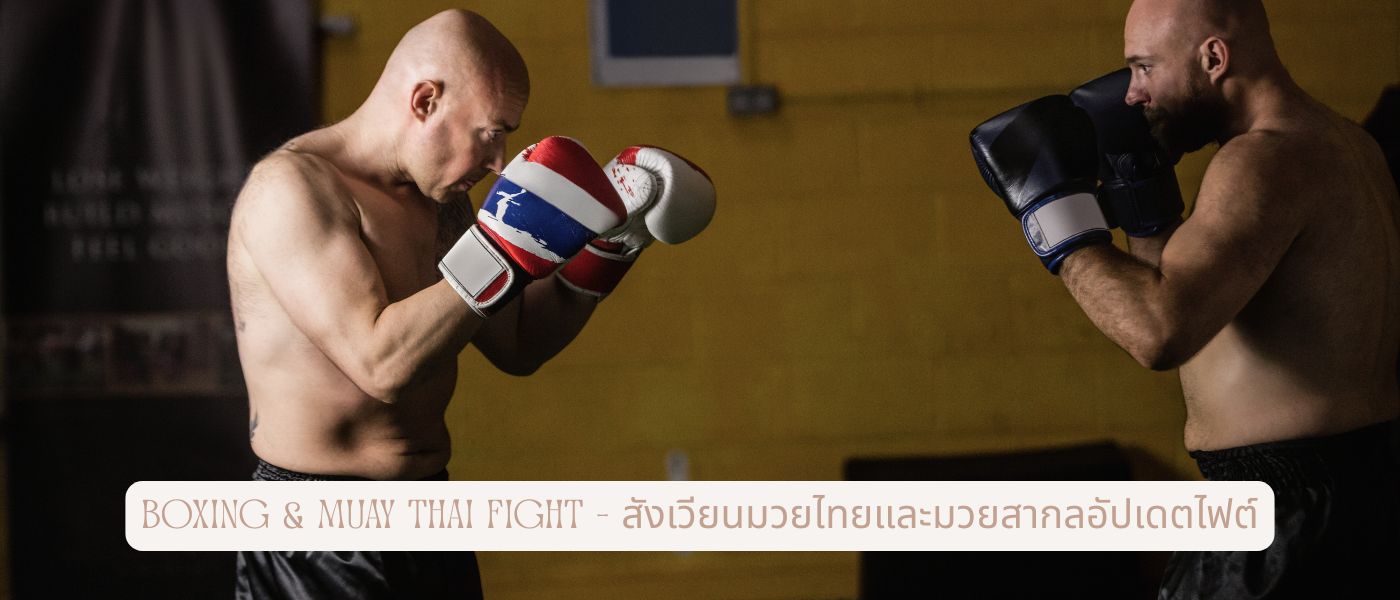 Boxing & Muay Thai Fight – สังเวียนมวยไทยและมวยสากลอัปเดตไฟต์